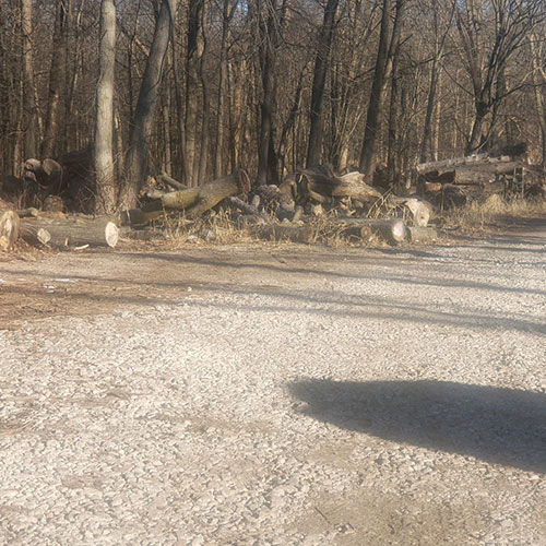 Hardwood Sawmill for Sale