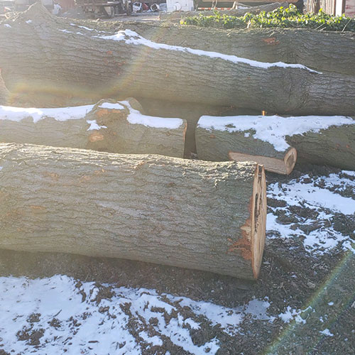 Hardwood Logs for Sale