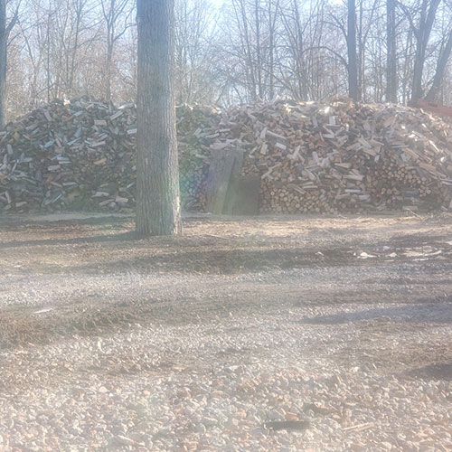 Seasoned Firewood for Sale